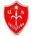 特里埃斯蒂纳